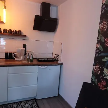 Pod Uwalonym Debem Apartamento Jezow Sudecki