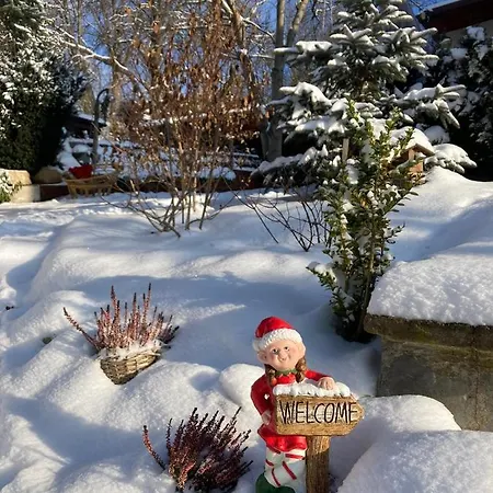 Pod Uwalonym Debem Апартаменты *