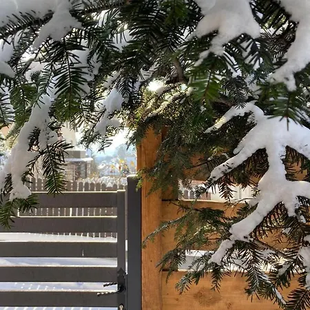 Pod Uwalonym Debem Jezow Sudecki