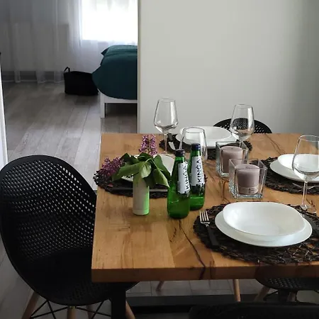 Pod Uwalonym Debem Apartment *
