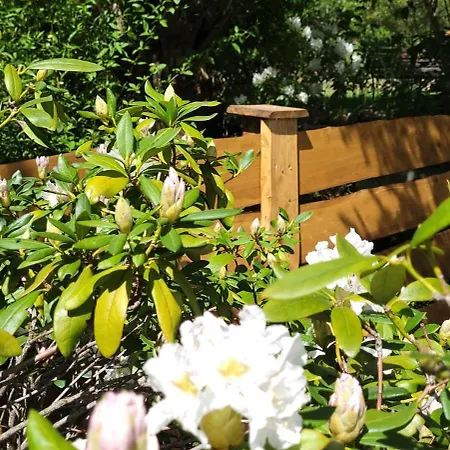 Pod Uwalonym Debem * Jezow Sudecki