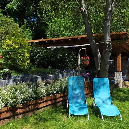 Pod Uwalonym Debem *