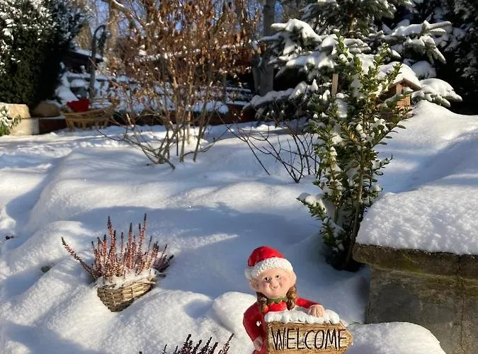 Pod Uwalonym Debem Apartment *