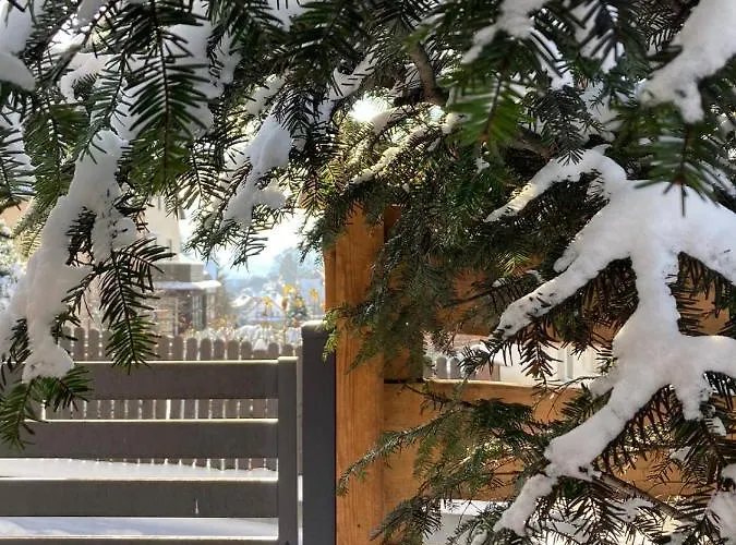 Pod Uwalonym Debem Jezow Sudecki