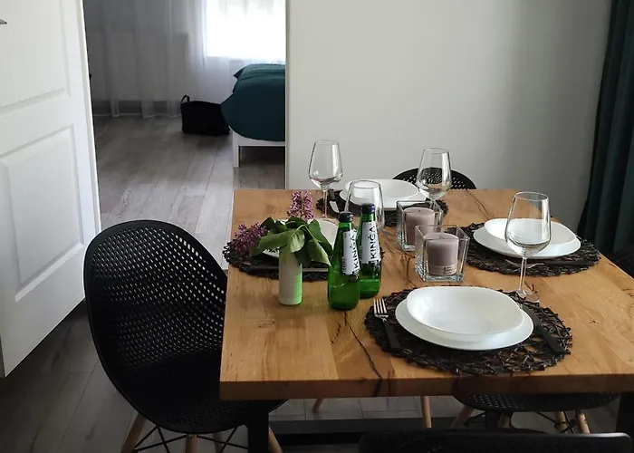 Pod Uwalonym Debem Apartment *