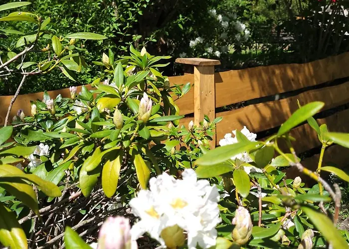 Pod Uwalonym Debem * Jezow Sudecki