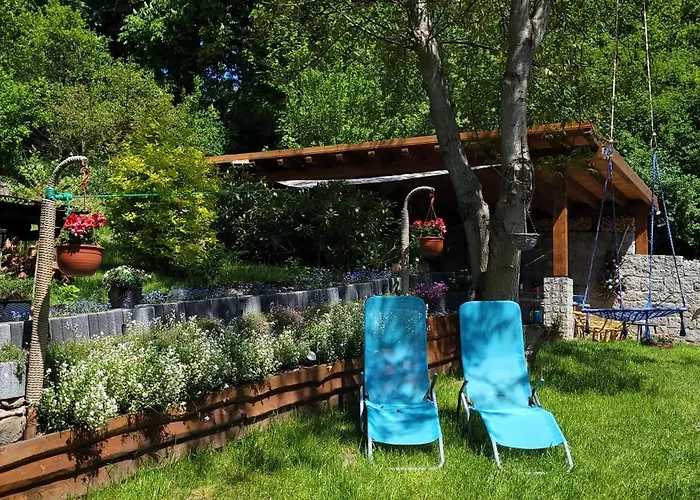 Pod Uwalonym Debem *